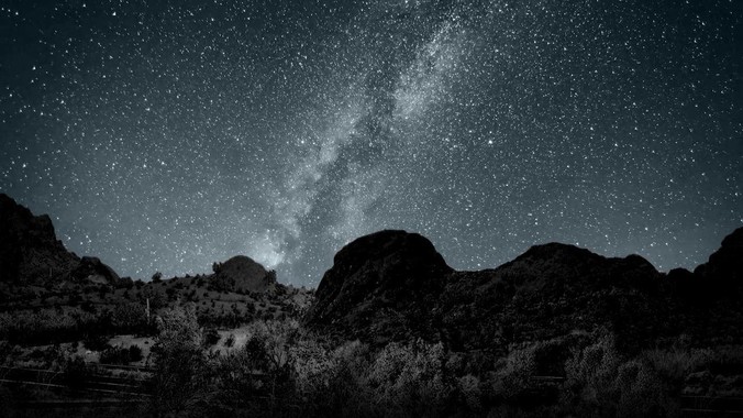 刘亦菲和张柏芝年轻的时候，谁更美？